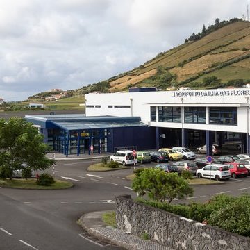 Flores Airport